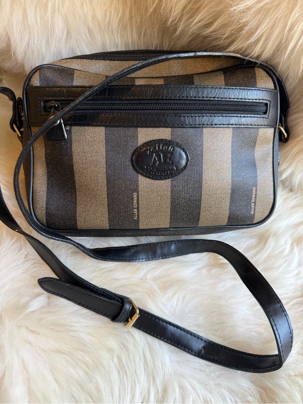 Allen Edwards vintage Stripe Crossbody Camera Bag